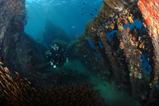 Bali Scuba Diving Holiday - Werner Lau Dive Centre.